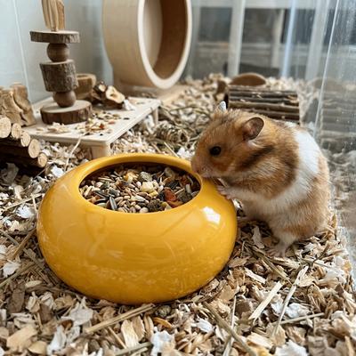Anti Overturning Hamster Food Bowl Anti-Spill Water Food Bowl Guinea Pigs Food Dish  Cage Accessory
