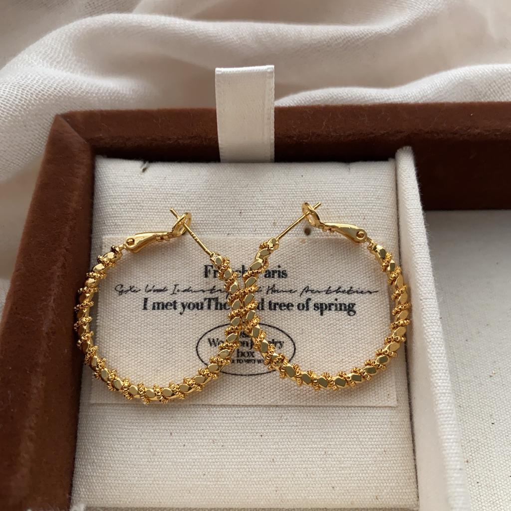 Classic Circle Earrings, Earrings, Personalized Diversity, Light Luxury, High-End Temperament, Cold Art, Unique Versatile Light Luxury Earrings