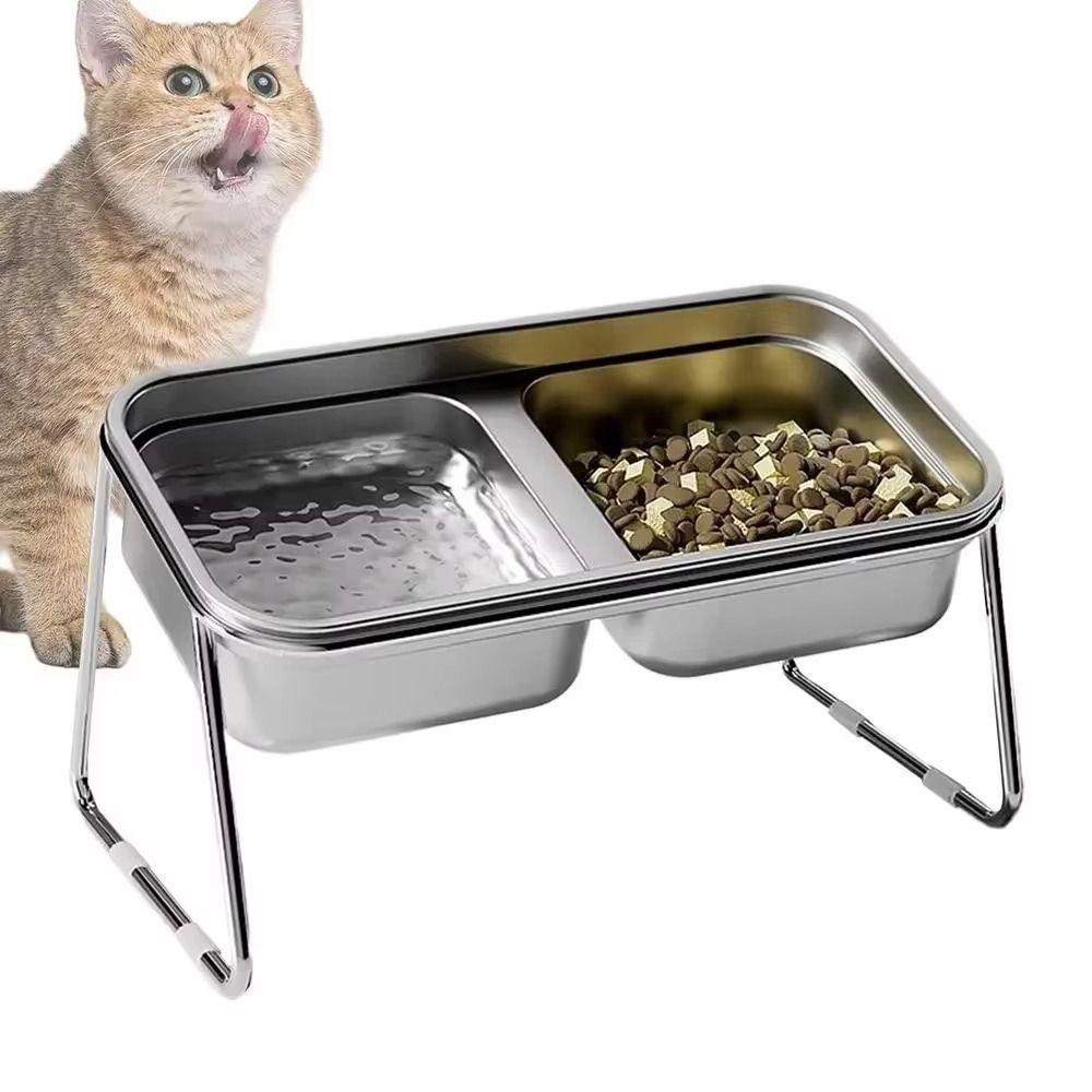 Stainless Steel Cat Food Water Bowl 15 ° Slant Elevated Pet Feeder Bowl  Pet Supplies