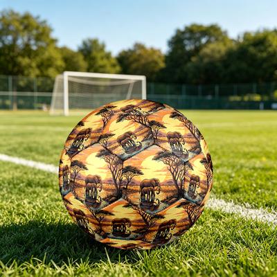 Futbol – Futbol topları