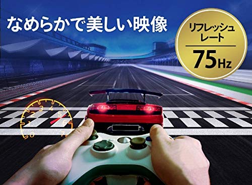 IODATA Full HD Gaming Display 75Hz LCD-DF241SXVB-A 23.8-inch