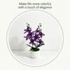 With Flowerpot Artificial Orchid Flower Silk Petals Faux Flower Potted  Home Decoration