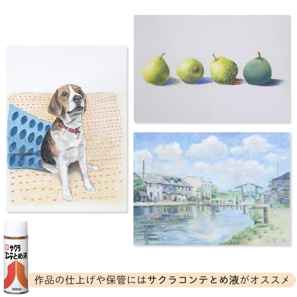 Sakura Conte Pastel 24 Colors CT24 Cray-Pas