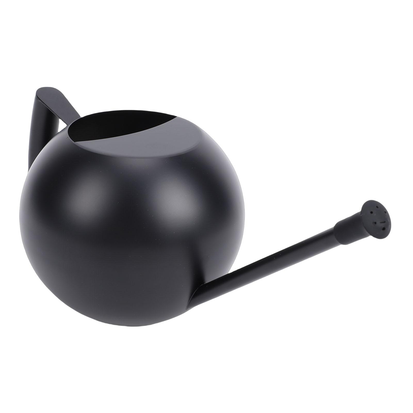 Лейка для комнатных и садовых растений, Маленькая 1000 мл, Нержавеющая сталь, Лейка с носиком, Съемная насадка, Металлическая лейка для комнатных растений