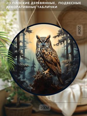 2D Flat Hanging Decorative Signs, Interior Wall or Door Decoration, Garden Decoration, Owl Pattern, Interesting Gifts for Family and Friends