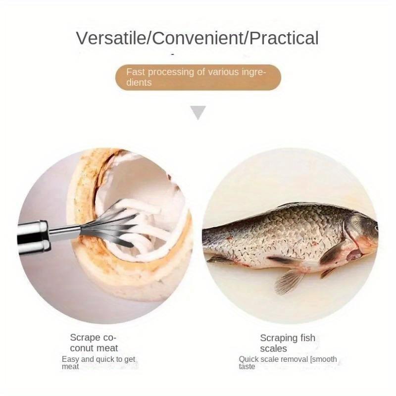 Kokosnussfleischschaber Edelstahl Kokosnussraspel Kokosnussfleischraspel Essbare Kokosnussfleischprodukte Fischschuppenraspel Werkzeuge