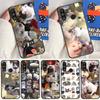 Weinende Katzen- und Hundememes für Huawei Nova 12i 12s 11i 5T 9 10 SE Y91 Y90 Y60 Y70 Y72 Y61 P60 Pro P20 P40 P30 Lite Hülle