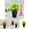Miniature Orchid Green Plant Plastic Decoration For Hotel Lobby And Home Decor