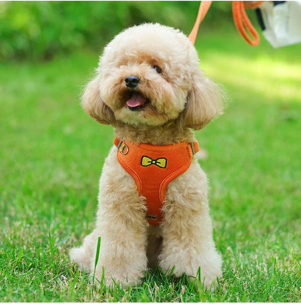 Pet Suede Chest Harness Vest Dog Cat Strap Reflective Leash Retractable for Small Light and Convenientn