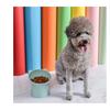 15-degree Inclined Anti-vomiting Tall Cat Food Basin Beard Protection Plastic Inclined Frame Indoor Pet Drinking Water Feeding