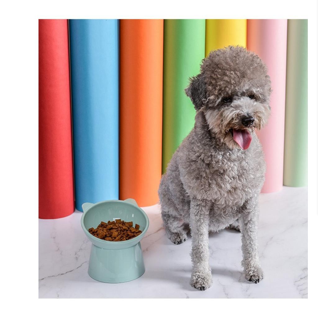 15-degree Inclined Anti-vomiting Tall Cat Food Basin Beard Protection Plastic Inclined Frame Indoor Pet Drinking Water Feeding