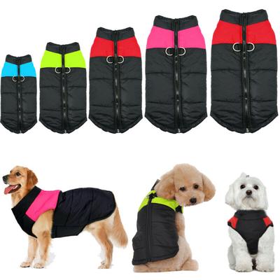 jack russell terrier winter jackets jack russell terrier winter jackets