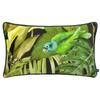 50cm x – black, green