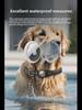Reflective Waterproof AirTag Dog Collar with Transparent Cover & Anti-Lost Locator