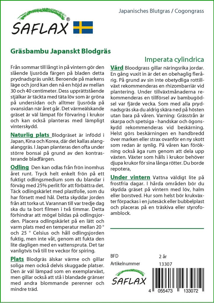 SAFLAX Garden in the Bag - Cogongrass - 50 semen - Se substrátem v padnoucím sáčku - Imperata cylindrica