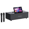 SANSUI T15 Home KTV System (CN Version)