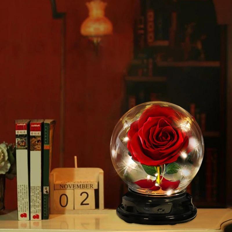 Mother Day Gift Dried Flowers Eternal Real Rose Home Decor with LED In Glass Dome Valentine's Day Gift Rose Round Lamp Ornaments