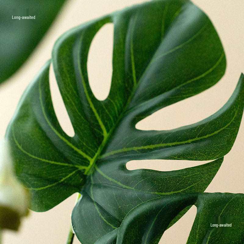 Premium Artificial Green Plants for Home Decor – Perfect for Living Room, Dining Table, TV Stand, or Entryway