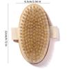 Bristle Bath Brush Bath Brush Body Dry Brush Bath Towel Rub Back Artifact Body Beauty Brush Massage Brush