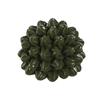 Decorative Figure Home ESPRIT Green Tropical 22 X 22 X 18 Cm