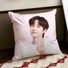 Singer WWang Yibo Cushion Cover Reversible Soft Durable Pillow Cover Home  Car MultiScene Use for Daily Comfort