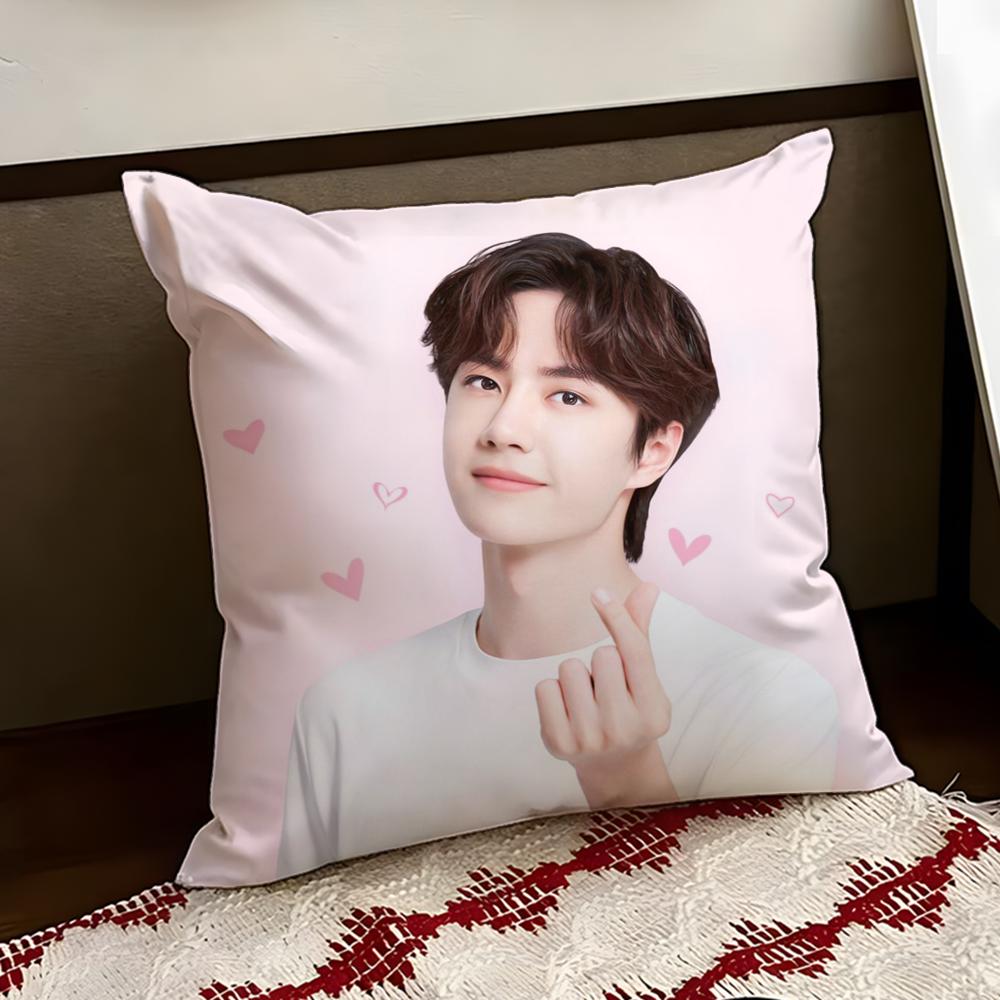 

Singer WWang Yibo Cushion Cover Reversible Soft Durable Pillow Cover Home Car MultiScene Use for Daily Comfort 30X30cm