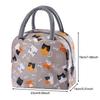Wiederverwendbare Lunchtasche für Damen Große Kapazität Kleine isolierte Kühltasche Lunchbehälter Auslaufsichere Lunch-Tragetaschen