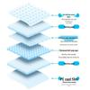 Thick Disposable Dog Pee Pads: Absorbent & Deodorizing Pet Diapers