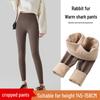 Women's Petite Plus Velvet Shark Leggings for Autumn/Winter - Thick, Tight, Cotton Yoga Pants