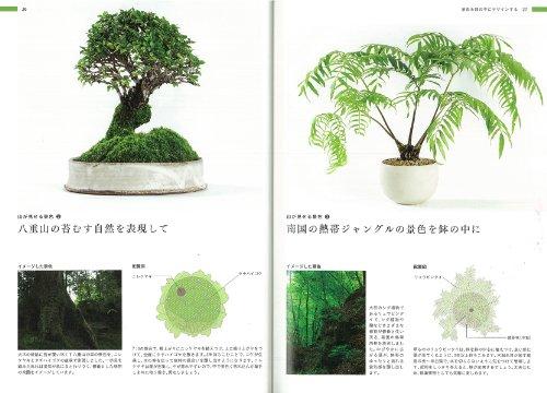 Your First Landscape Bonsai: Ideas and Tips for Expressing Landscape in a Pot