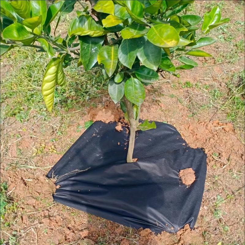 1 szt., Tkanina ogrodnicza i inżynieryjna, Przepuszczalna dla wody, Tkanina zapobiegająca przerastaniu trawy, Kamień, Rabata kwiatowa, Separacja gleby,