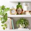 Artes decorativas – Decorações de tecidos e têxteis