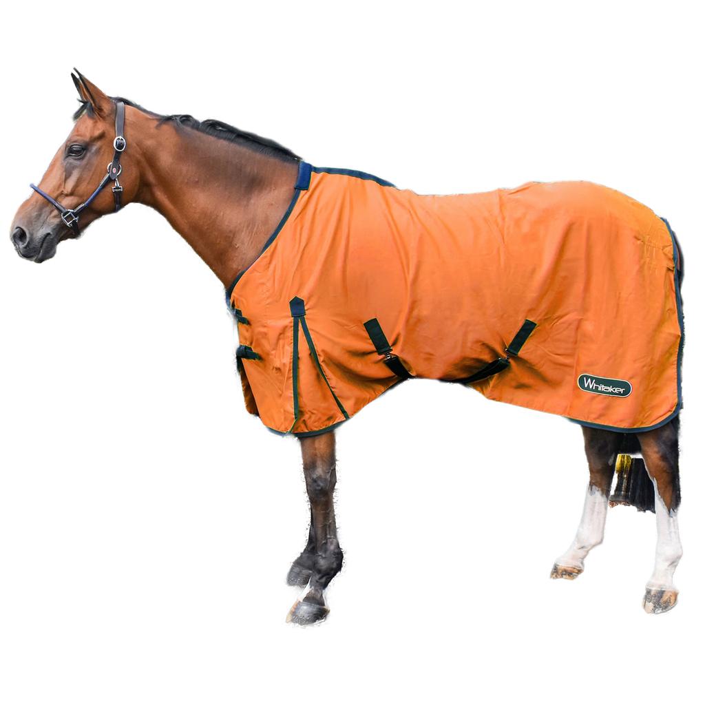 Whitaker Allerton Standard-Neck Cotton Multi-Functional Horse Exercise Sheet