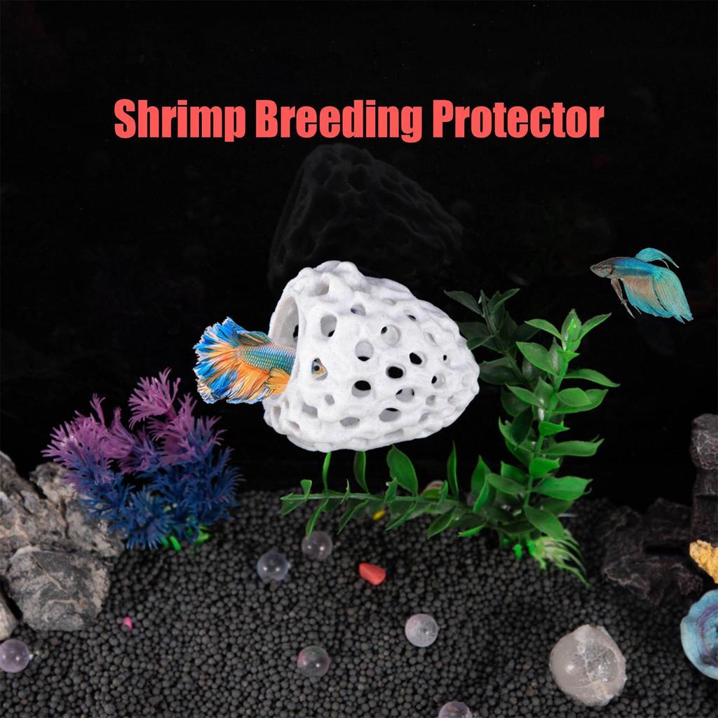 Porous Shrimp Hide Cave for Aquarium Natural Safe Fish Hiding Spot Breeding Shelter Tank Ornament for Betta Guppy Small Fish