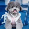 Princess Style Pet Pearl Collar for Dogs Cats-Cute Adjustable Jewelry Accessory for Puppy Kitten Chihuahua Perfect Wedding Gift