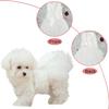 Dog Dress,Pet Wedding Dress Princess Formal Tutu Skirt with Bowknot,Puppy Birthday Party Outfit Apparel Girl for Small Dogs Cats (White Lace,