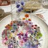 50PCS Colorful Flower PET Sticky Sticker Aesthetic Korean Stationery DIY Transparent Decoration Scrapbooking School Supplies