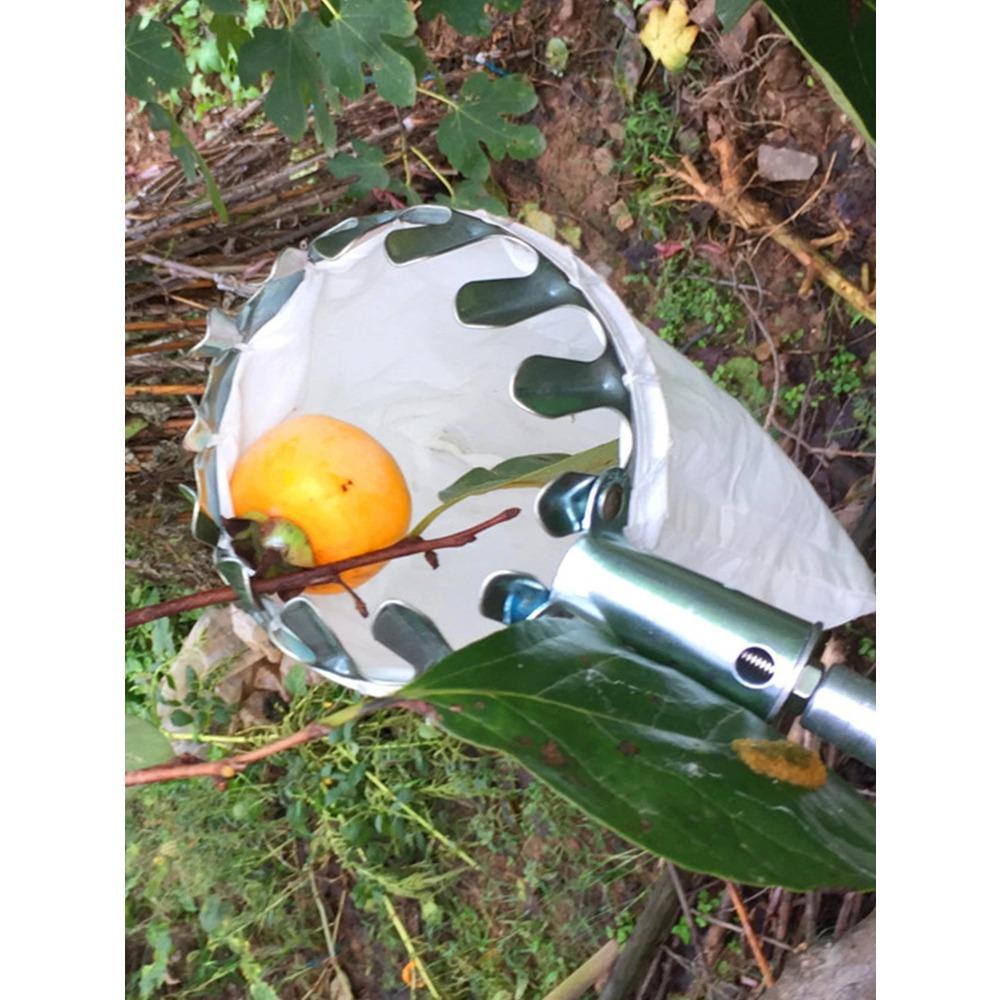 Teleskopische Obstpflücker Werkzeuge Hoch Höhenstange für Verschiedene Höhen Garten Obstpflücker Fänger Frische Orangenpflücker Werkzeuge
