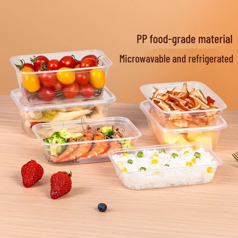 Disposable Rectangular Takeout Food Container
