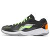 New LiNing Thunder Series Training Anti Slip And Wear Resistant Breathable Low Top Badminton Shoes Unisex Black AYTS024-3
