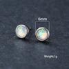 Hot push platinum blue round stud earrings, simple and shining personality trend niche versatile luxury earrings