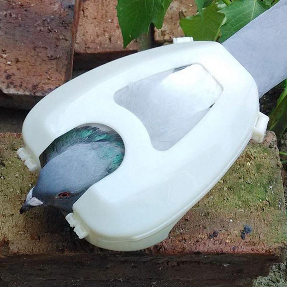 Universal Bird Racing Frame Rack Pigeon Holder Fixed