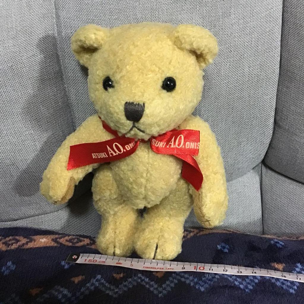 [USED] Atsuki Onishi Teddy Bear Nu143