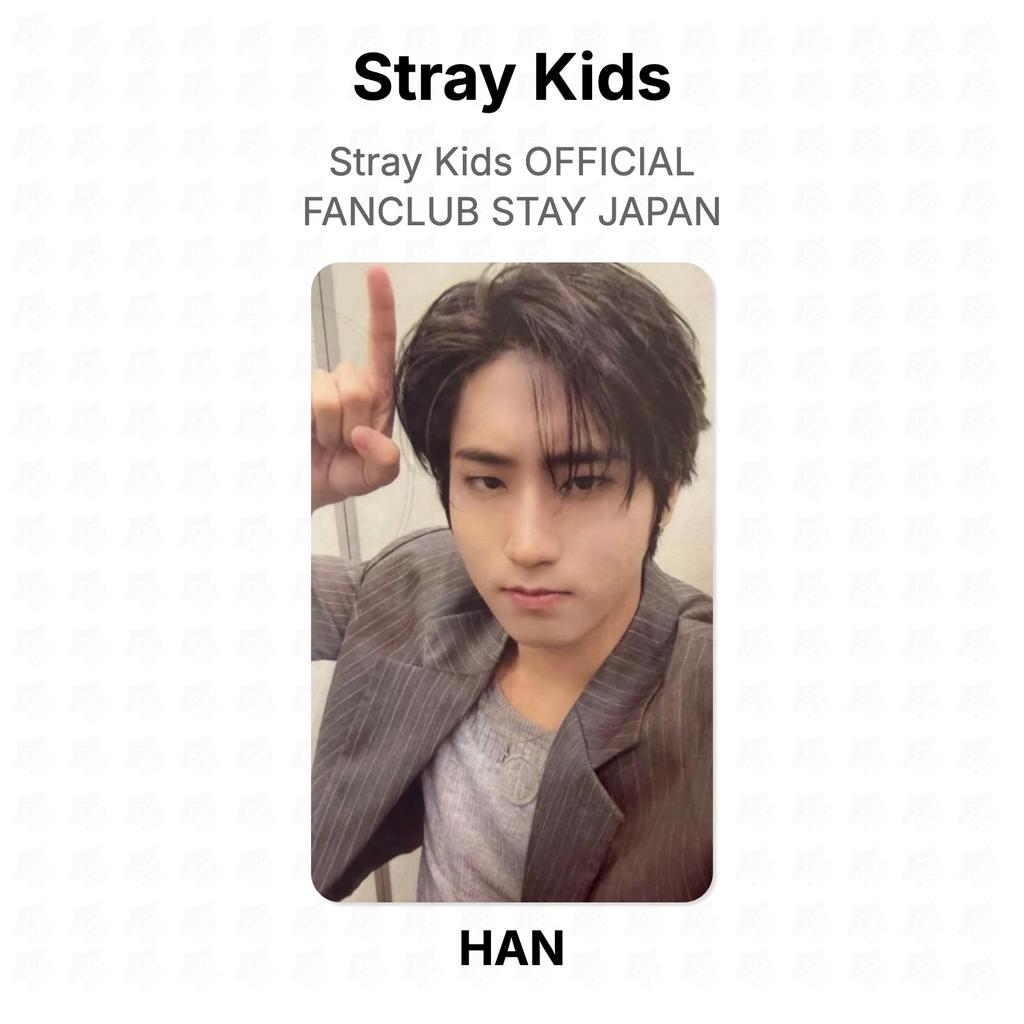 Stray Kids OFFICIAL FANCLUB STAY JAPAN Official Photocard