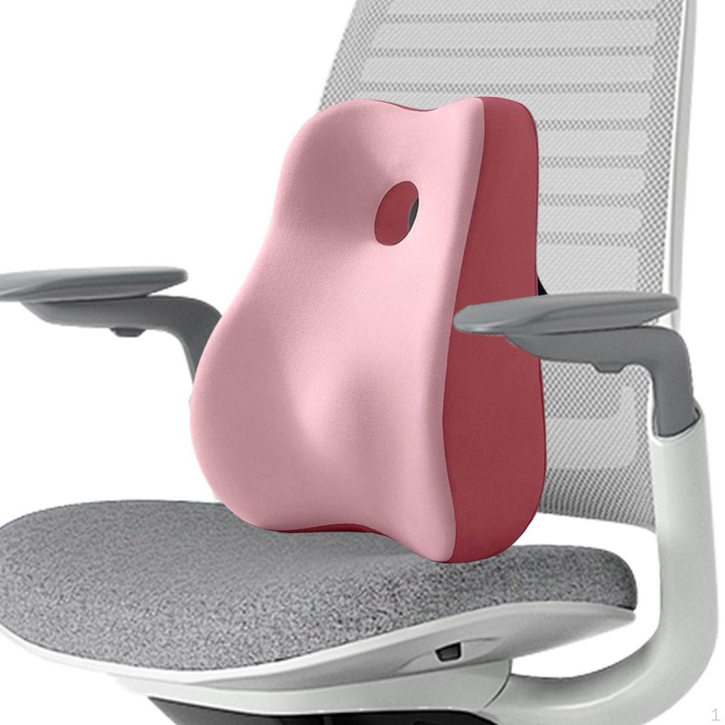 Back Support Cushion for Lumbar Relief, Foam Pillow with Strap Vehicle And Office