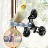 Bird Perch Ceramics Stand for Parrots Conure Supplies Budgies Grinding Scratcher for Small Medium Parrots Rack Toy