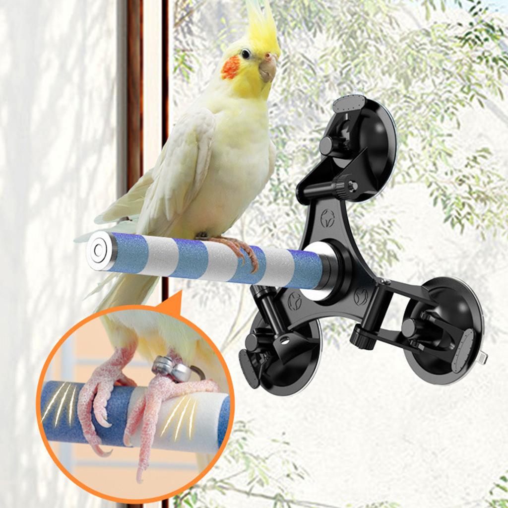 Bird Perch Ceramics Stand for Parrots Conure Supplies Budgies Grinding Scratcher for Small Medium Parrots Rack Toy