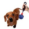 Durable Pet Rugby Ball with Elastic Rope for Bite Training and Teeth Grinding, Suitable for Dogs