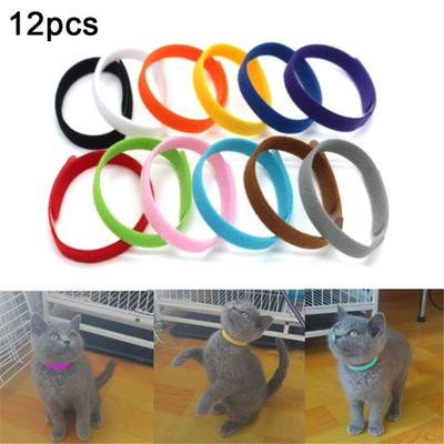 Köpek – Köpek Tasmaları ve Tasma Kayışları