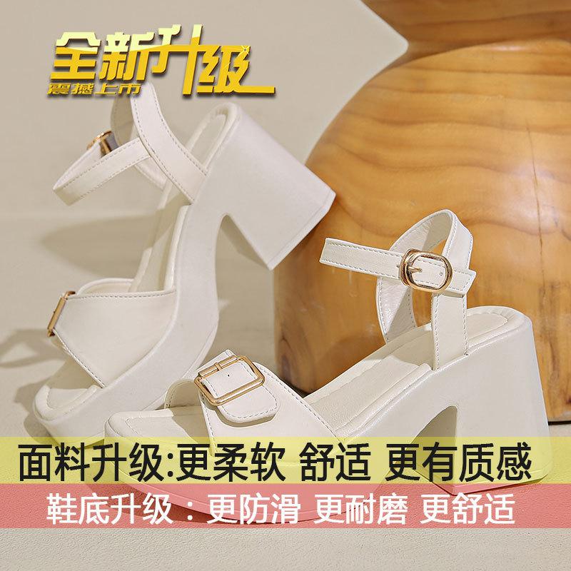 Thick-heeled Roman Sandals for Women Wear 2025 New Summer Fashion Casual Women's Shoes Waterproof Platform Wedge Heels
